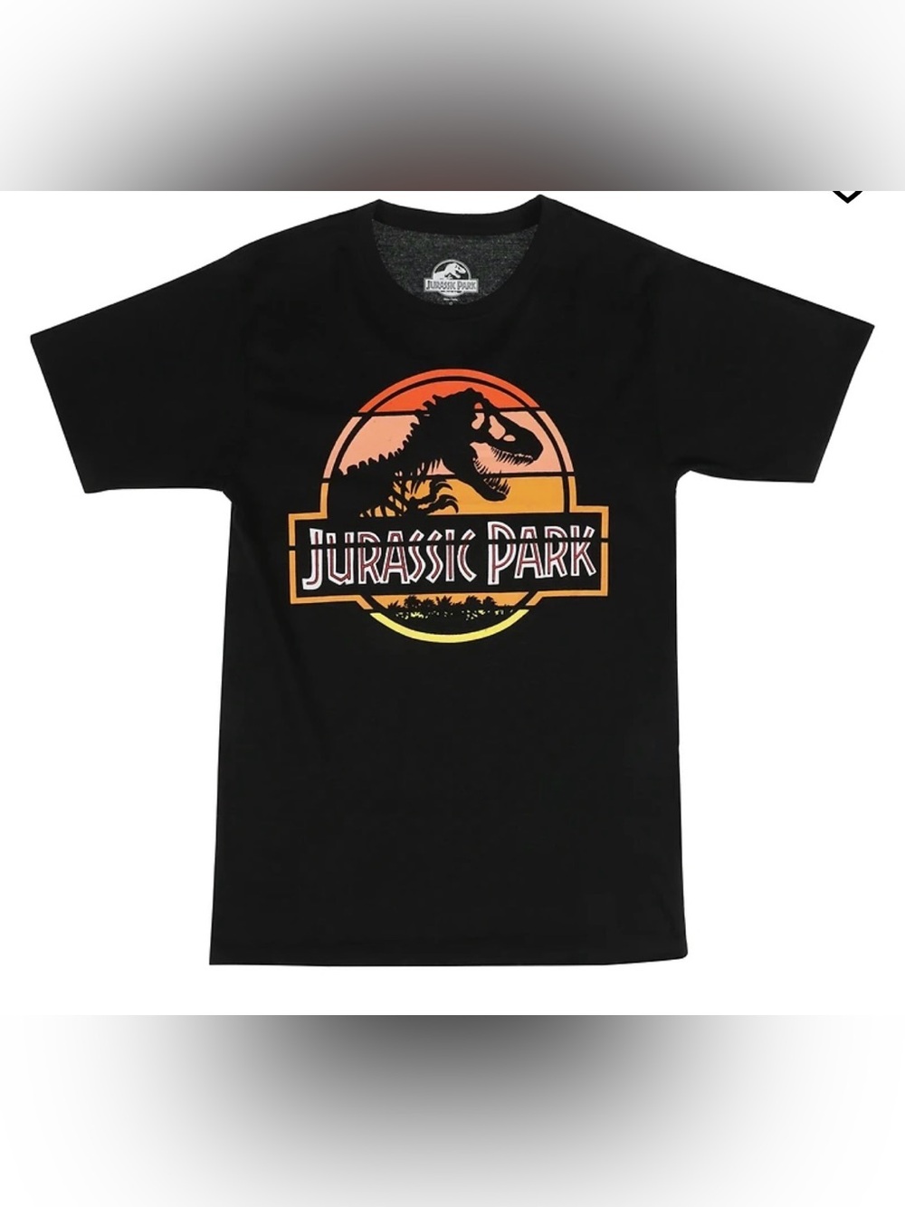 Jurassic Park Black Graphic Tee